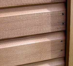 SUMMERHOUSES xx - Close up view of cladding