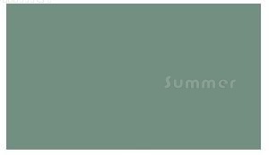 Paint finish - second colour options